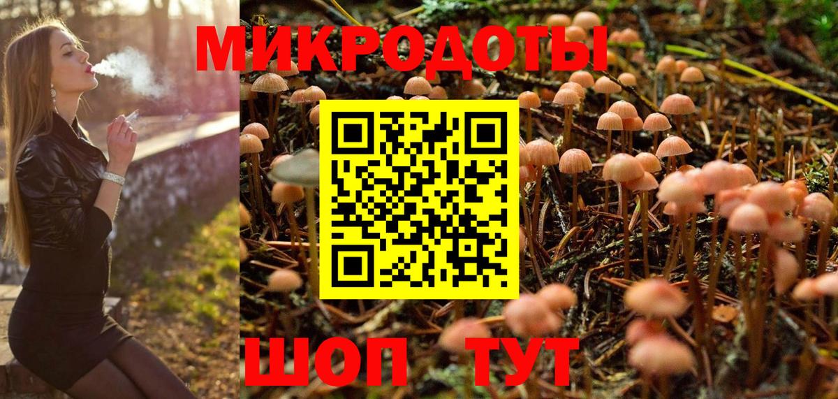 Галлюциногенные грибы Psilocybine cubensis Киржач