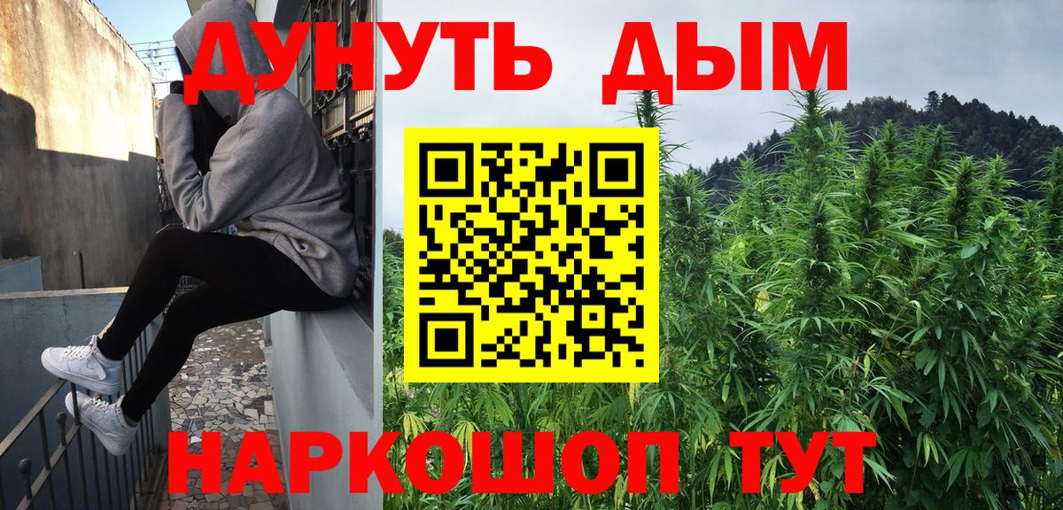 Канабис планчик  Каннабис Ganja  Вход с VPN  Киржач  Каннабис сатива  Каннабис сатива 